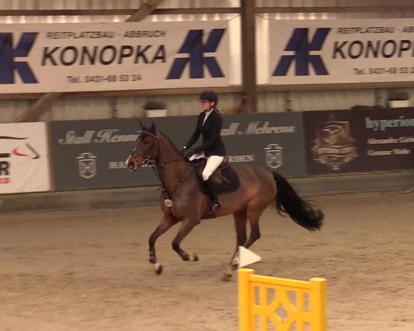 10. Nordic Jumping Event in Negernbötel 2022