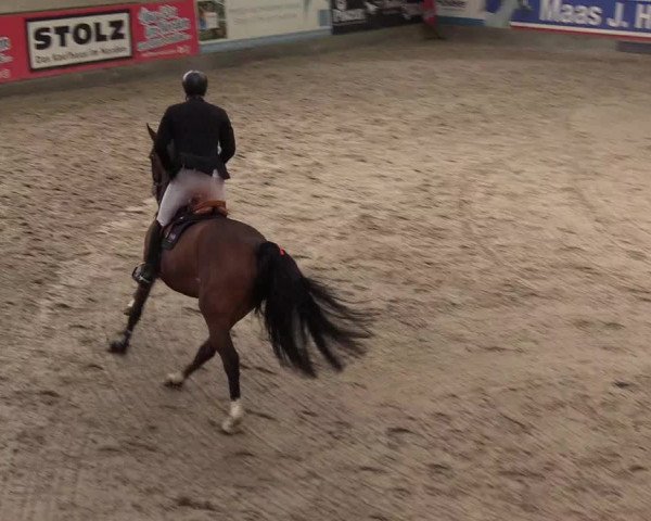 10. Nordic Jumping Event in Negernbötel 2022