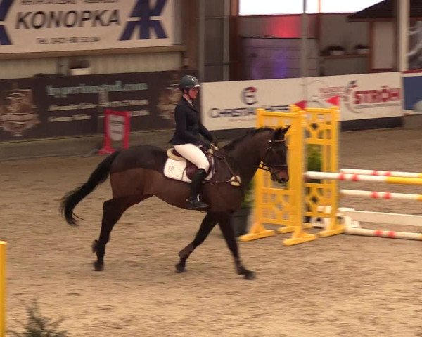 10. Nordic Jumping Event in Negernbötel 2022