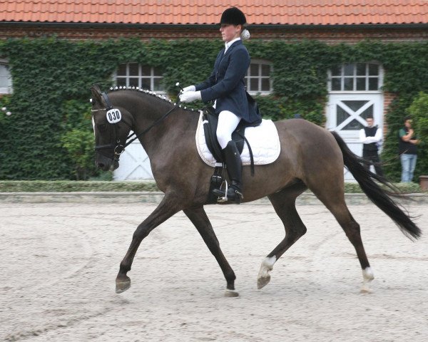 Dressurpferd De Finessa (Deutsches Reitpony, 2003, von Dornik B)