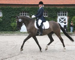 dressage horse De Finessa (German Riding Pony, 2003, from Dornik B)