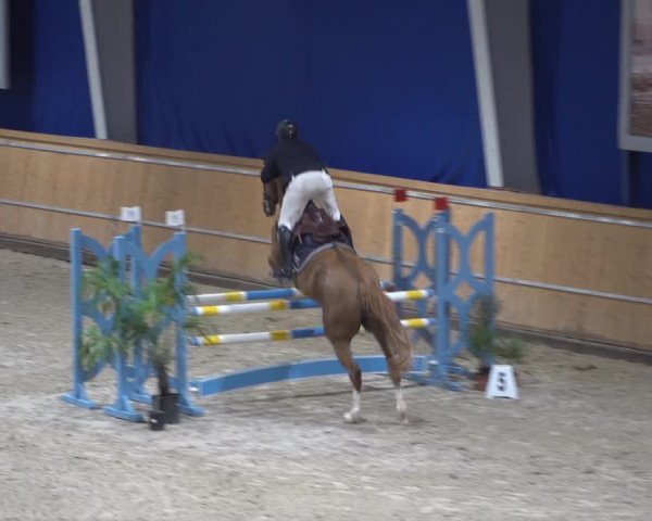 Springturnier Aachen - Albert-Vahle-Halle 2022