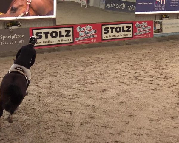 10. Nordic Jumping Event in Negernbötel 2022