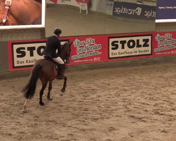 10. Nordic Jumping Event in Negernbötel 2022