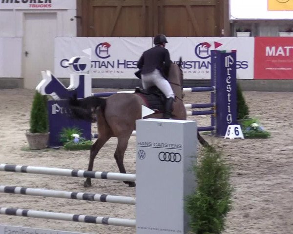 10. Nordic Jumping Event in Negernbötel 2022