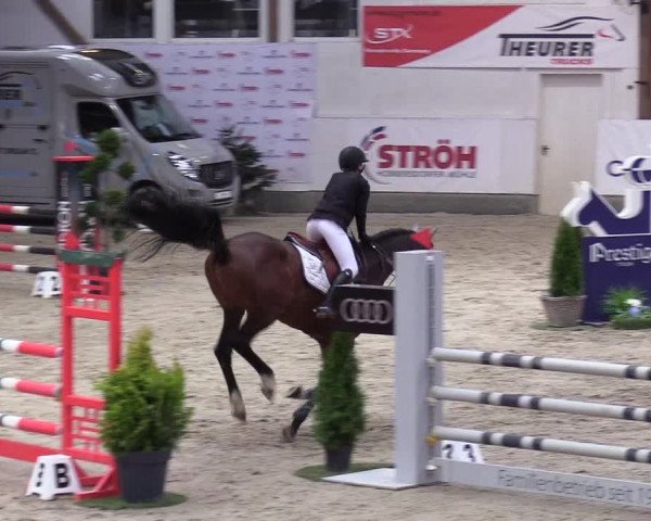 10. Nordic Jumping Event in Negernbötel 2022
