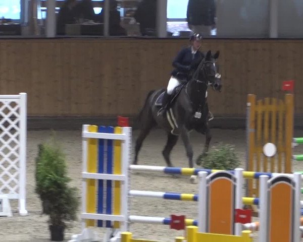 Springturnier Aachen - Albert-Vahle-Halle 2022