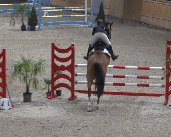 Springturnier Aachen - Albert-Vahle-Halle 2022