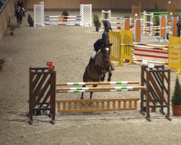 Springturnier Aachen - Albert-Vahle-Halle 2022