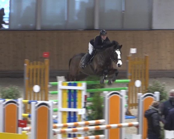 Springturnier Aachen - Albert-Vahle-Halle 2022