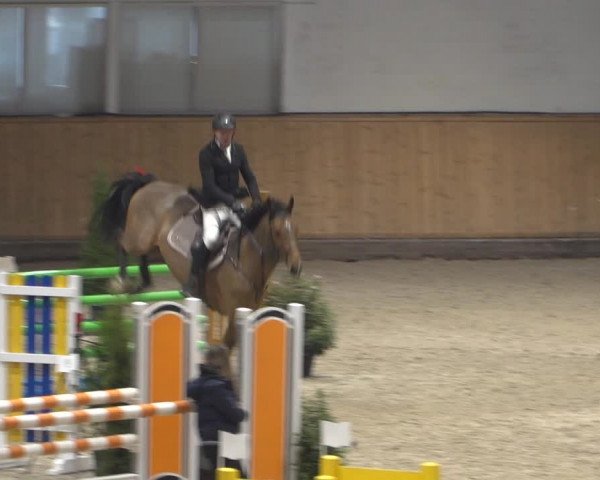 Springturnier Aachen - Albert-Vahle-Halle 2022