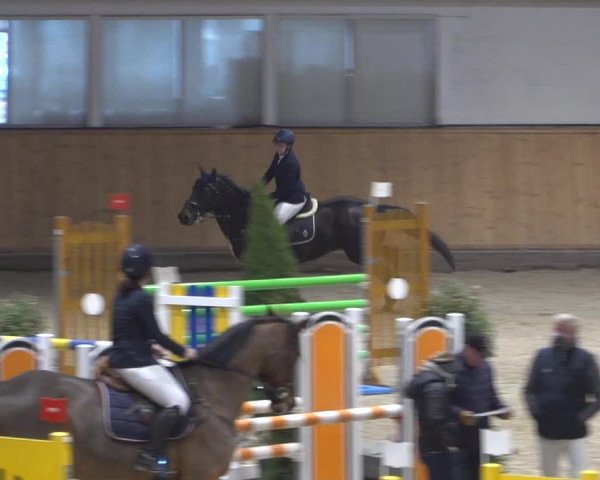 Springturnier Aachen - Albert-Vahle-Halle 2022