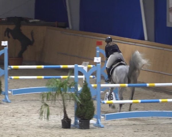Springturnier Aachen - Albert-Vahle-Halle 2022