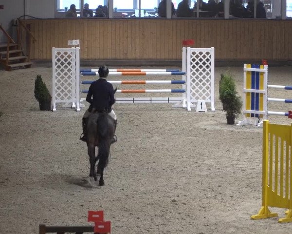 Springturnier Aachen - Albert-Vahle-Halle 2022