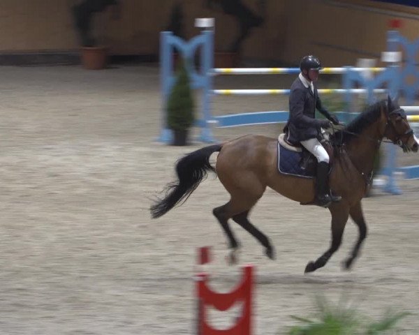 Springturnier Aachen - Albert-Vahle-Halle 2022