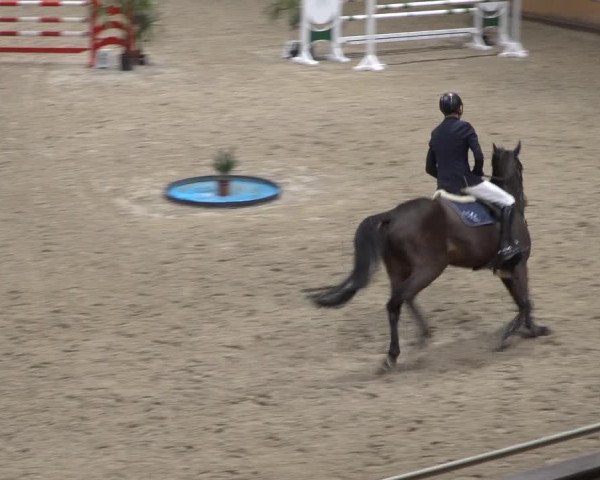 Springturnier Aachen - Albert-Vahle-Halle 2022