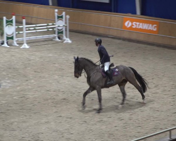 Springturnier Aachen - Albert-Vahle-Halle 2022