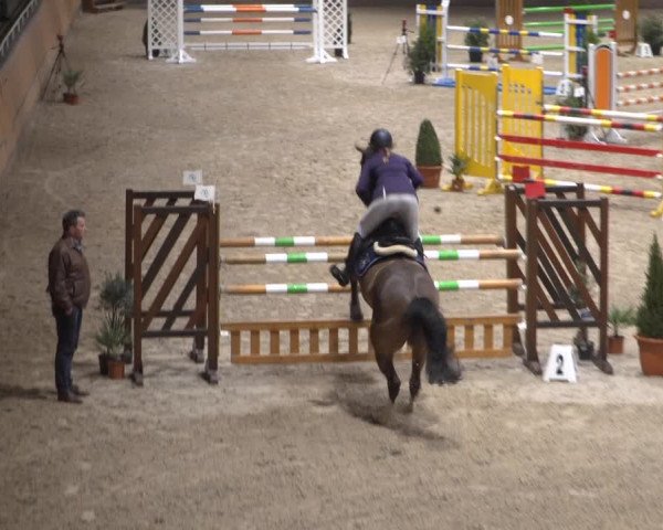 Springturnier Aachen - Albert-Vahle-Halle 2022