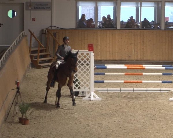 Springturnier Aachen - Albert-Vahle-Halle 2022