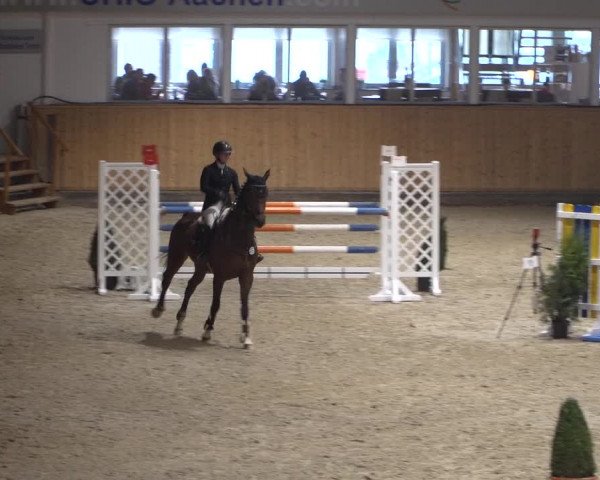 Springturnier Aachen - Albert-Vahle-Halle 2022