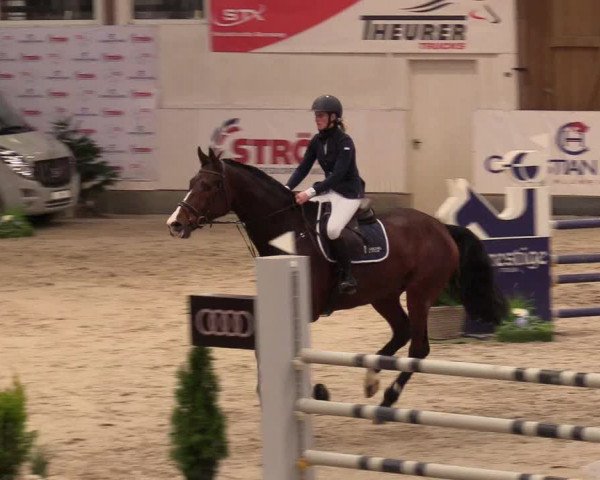 10. Nordic Jumping Event in Negernbötel 2022