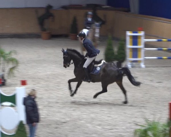 Springturnier Aachen - Albert-Vahle-Halle 2022