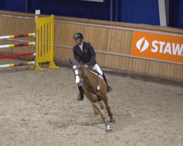 Springturnier Aachen - Albert-Vahle-Halle 2022