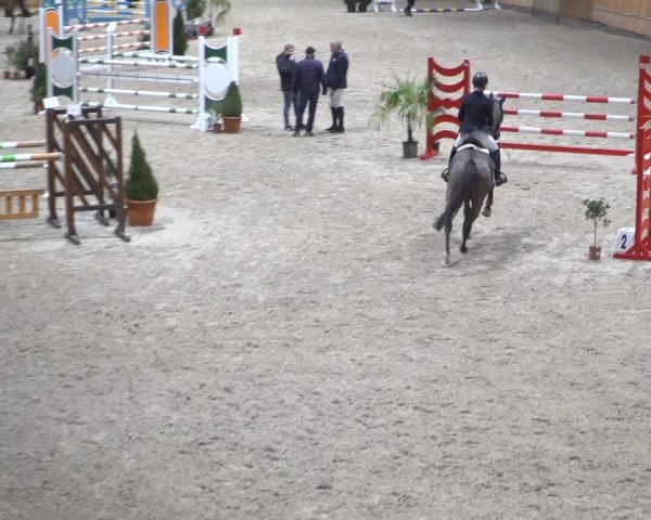 Springturnier Aachen - Albert-Vahle-Halle 2022