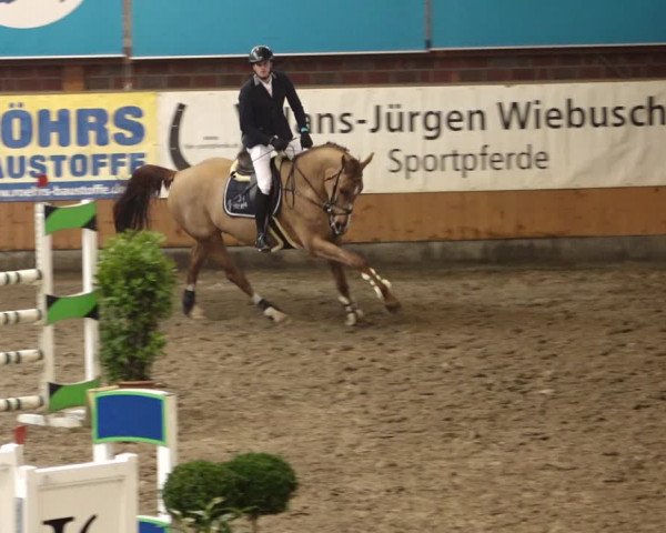 Late Entry Springturnier Osterholz-Scharmbeck 2022