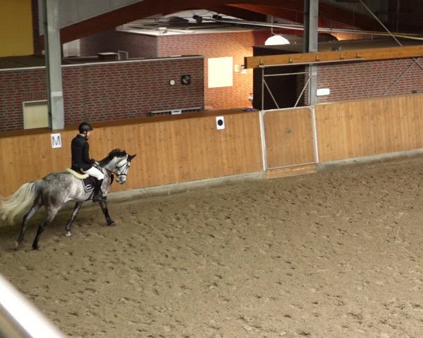 Late Entry Springturnier Osterholz-Scharmbeck 2022