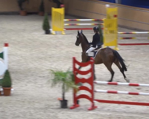Springturnier Aachen - Albert-Vahle-Halle 2022