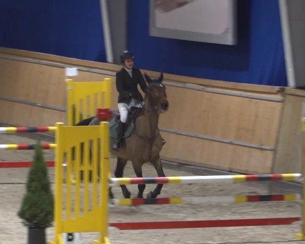 Springturnier Aachen - Albert-Vahle-Halle 2022