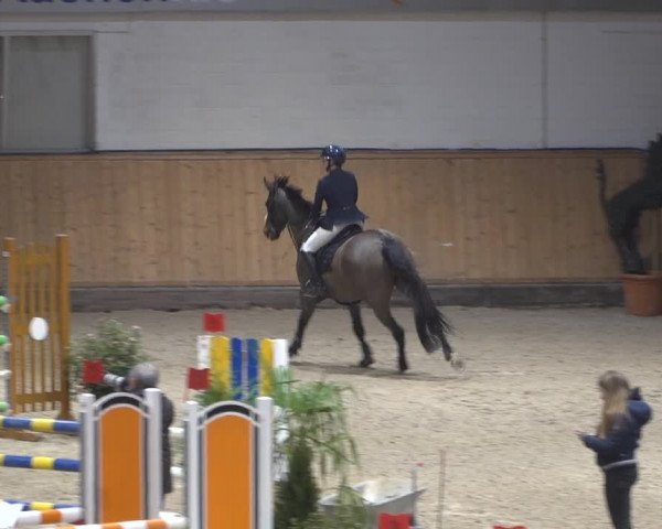 Springturnier Aachen - Albert-Vahle-Halle 2022