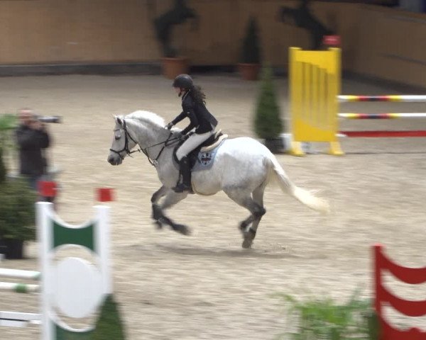 Springturnier Aachen - Albert-Vahle-Halle 2022