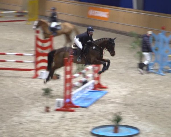 Springturnier Aachen - Albert-Vahle-Halle 2022