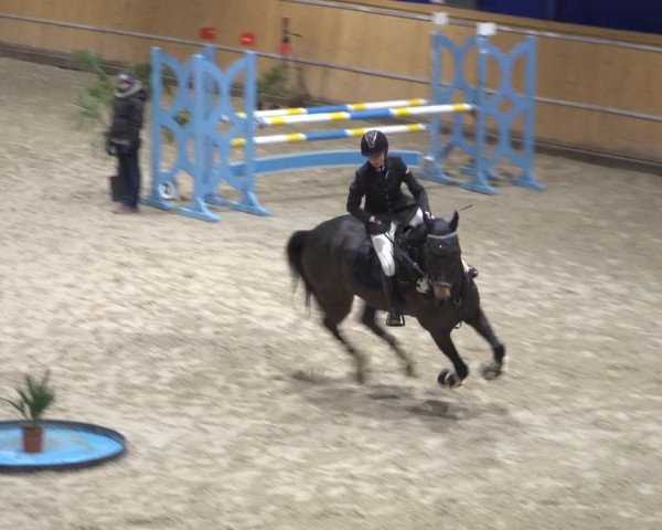 Springturnier Aachen - Albert-Vahle-Halle 2022