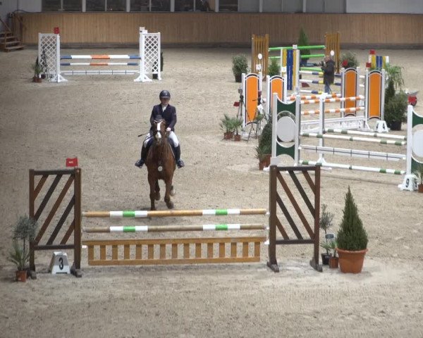 Springturnier Aachen - Albert-Vahle-Halle 2022