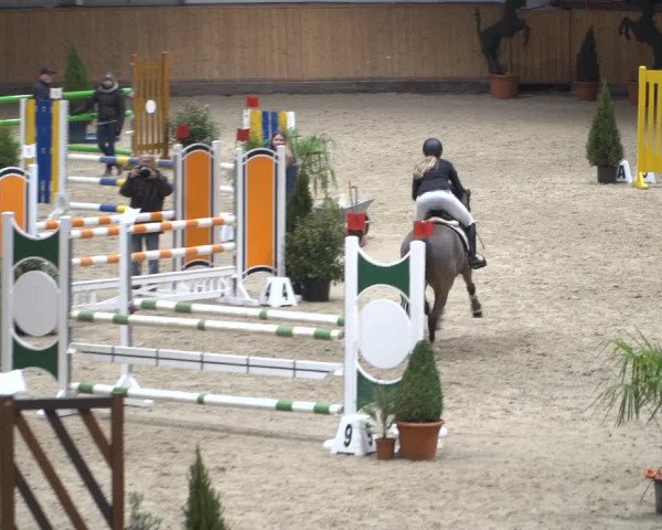 Springturnier Aachen - Albert-Vahle-Halle 2022