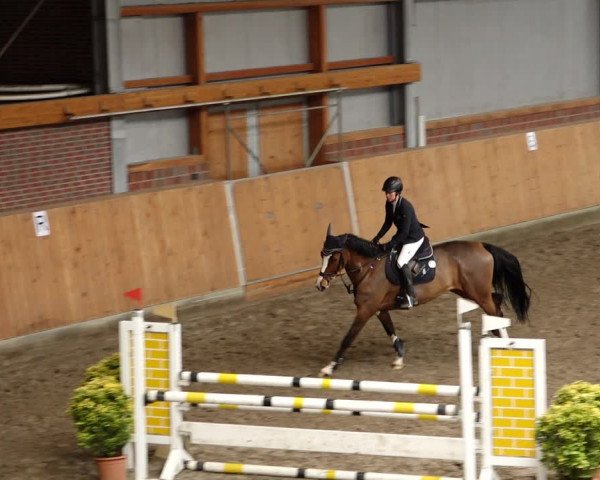 Late Entry Springturnier Osterholz-Scharmbeck 2022
