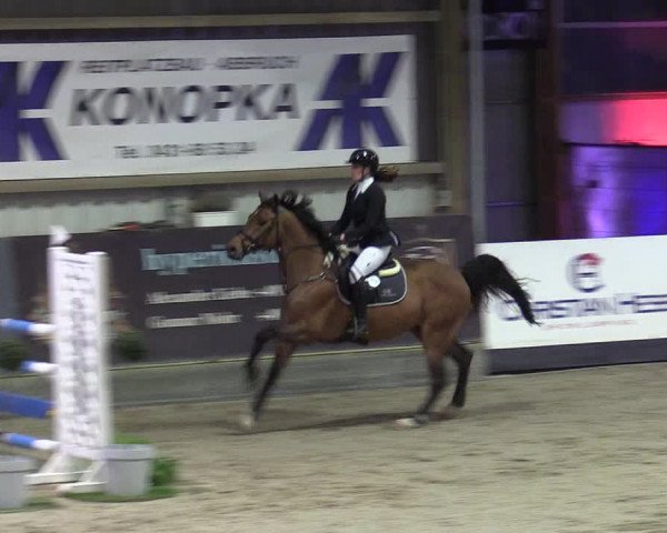 10. Nordic Jumping Event in Negernbötel 2022