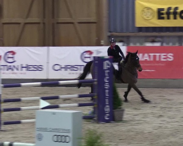 10. Nordic Jumping Event in Negernbötel 2022