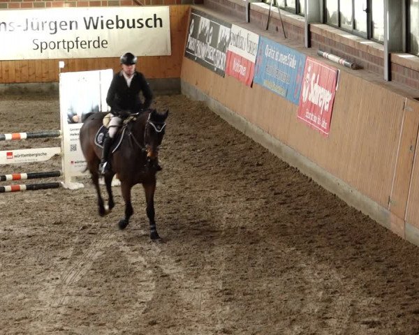 Late Entry Springturnier Osterholz-Scharmbeck 2022