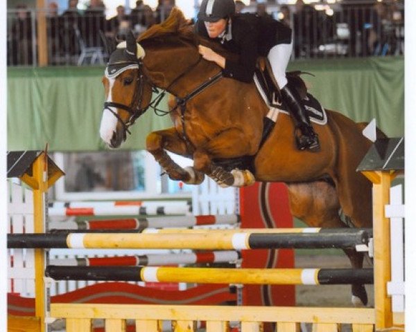broodmare Alice 286 (Westphalian, 1998, from Amalgan)