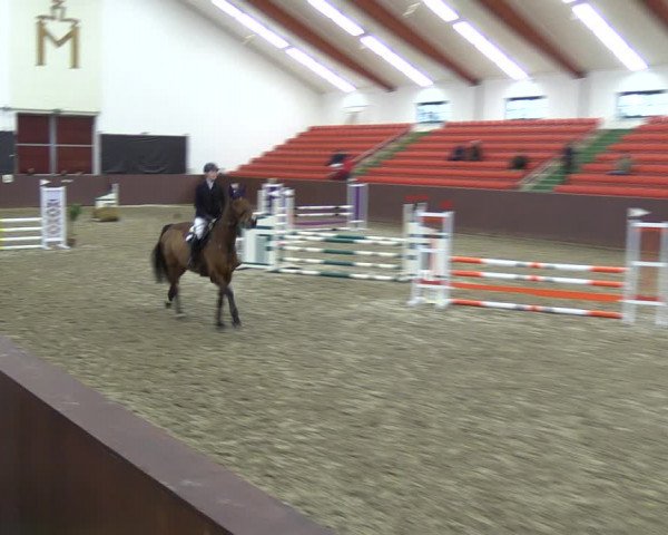 Reitturnier Redefin 2022
