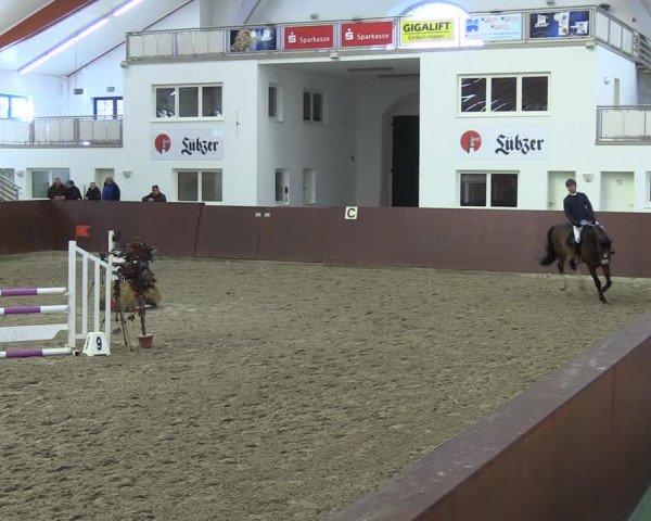 Reitturnier Redefin 2022