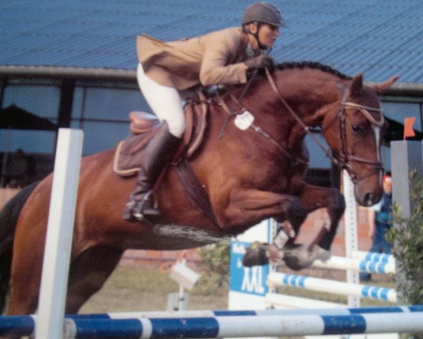 broodmare Adelaide 19 (Oldenburg, 2007, from Albatros 86)