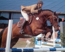 broodmare Adelaide 19 (Oldenburg, 2007, from Albatros 86)