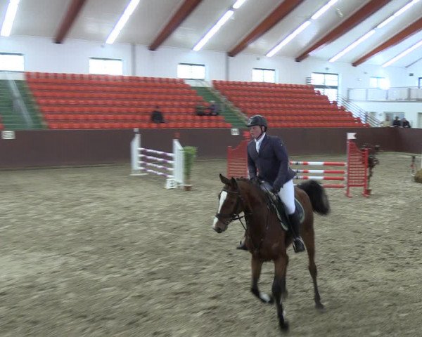 Reitturnier Redefin 2022