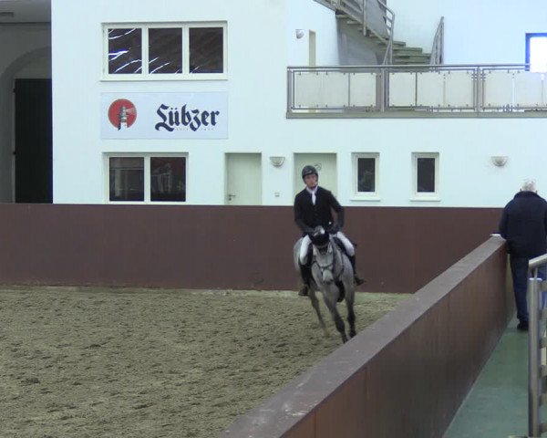 Reitturnier Redefin 2022