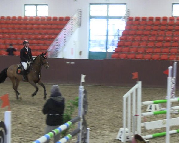 Reitturnier Redefin 2022